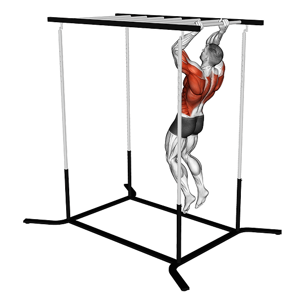 monkey bars