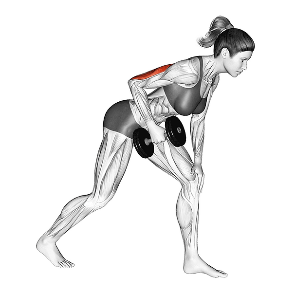 dumbbell tricep kickback