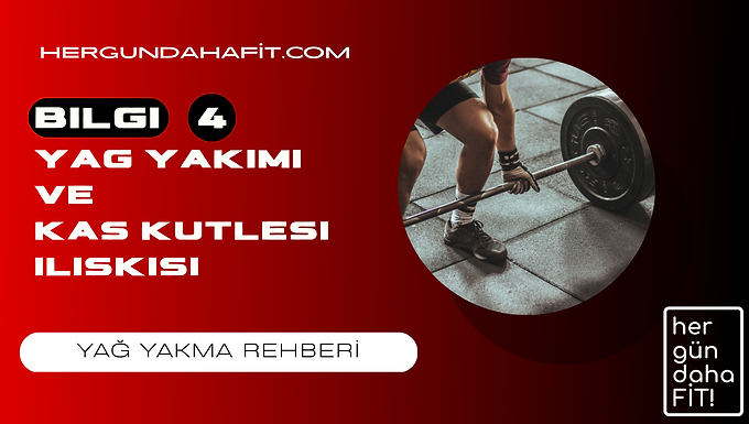 yag yakimi ve kas kutlesi iliskisi