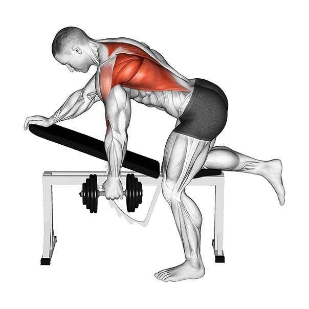 single arm dumbbell row