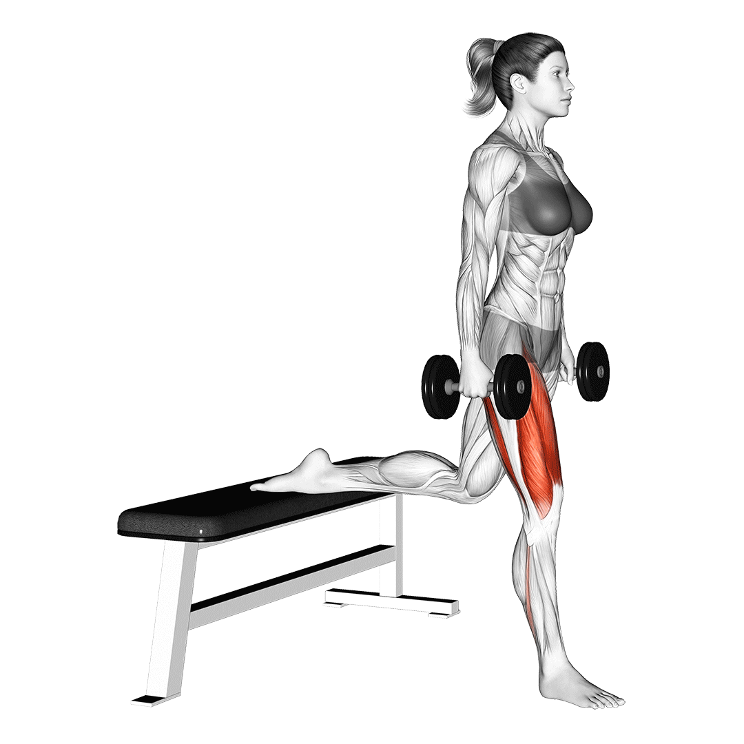 Dumbbell Bulgarian Split Squat Her G n Daha F T 