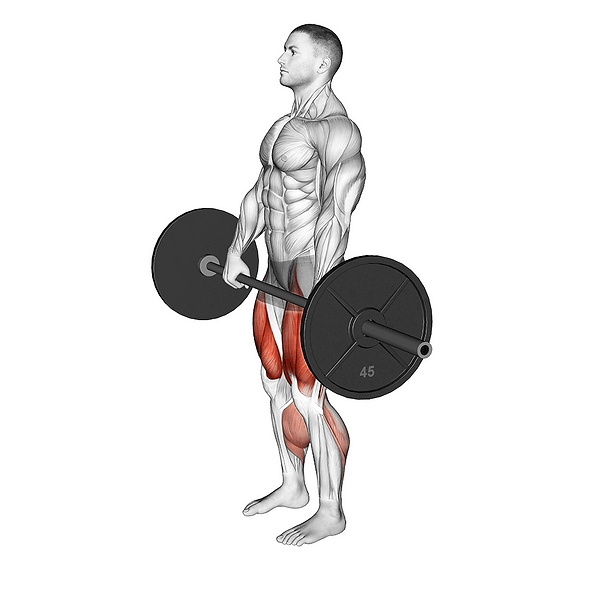 eccentric deadlift