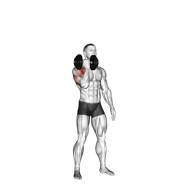 single arm arnold press