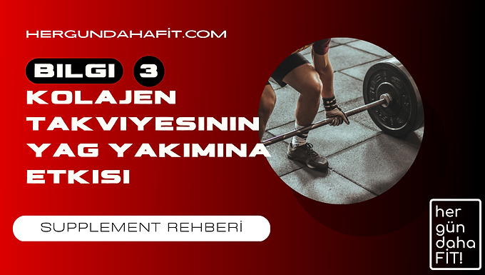 kolajen takviyelerinin yag yakimina etkisi