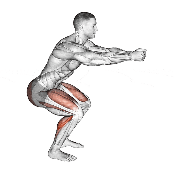 squat hold calf raises