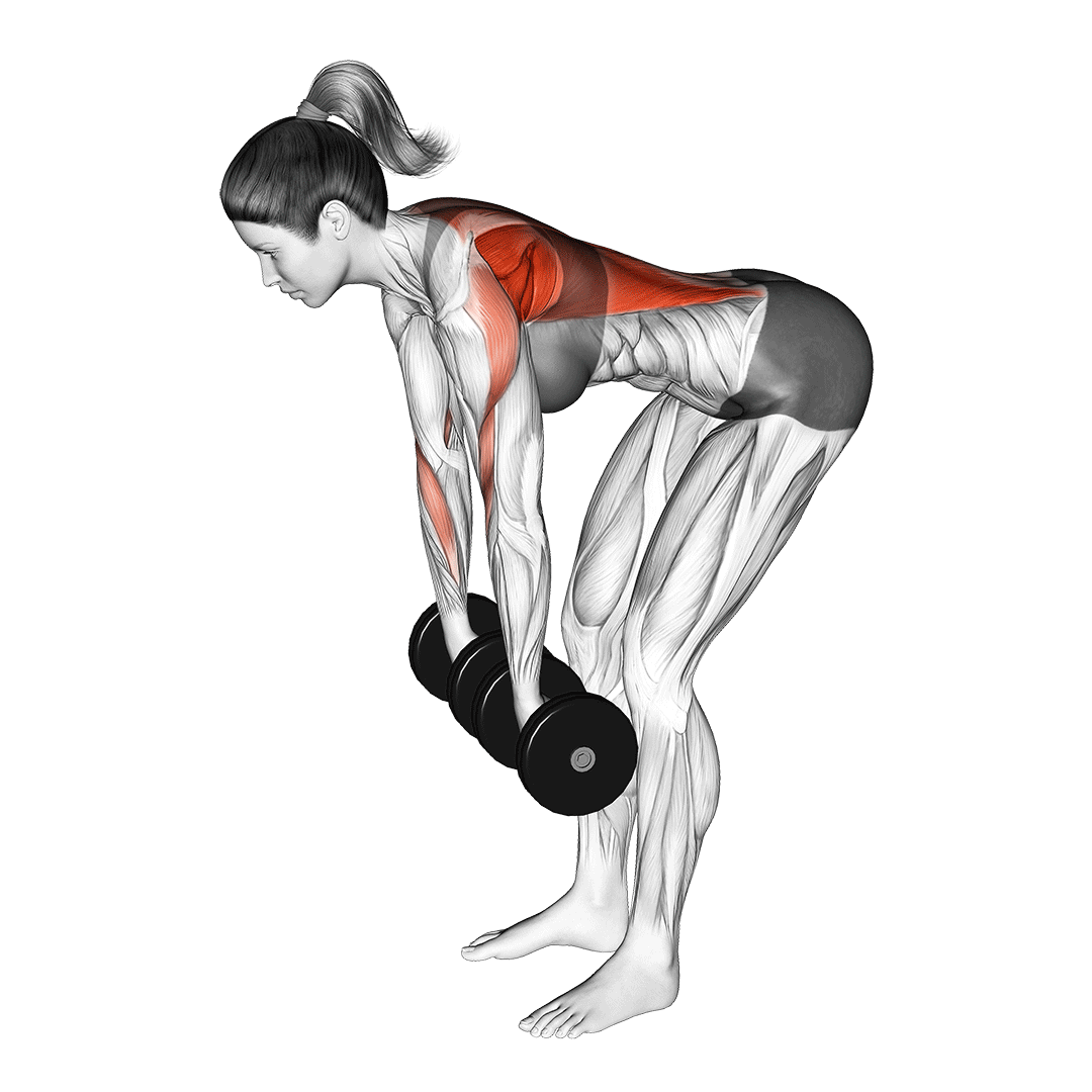 Dumbbell Row Her G n Daha F T 