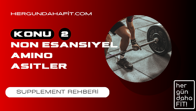 esansiyel amino asitler