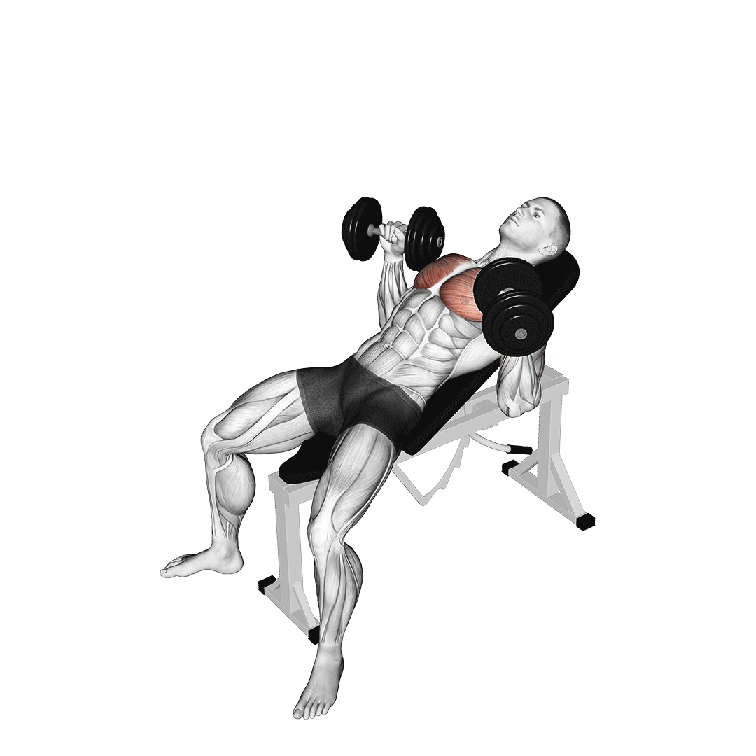 Dumbbell ncline Chest Press Her G n Daha F T 