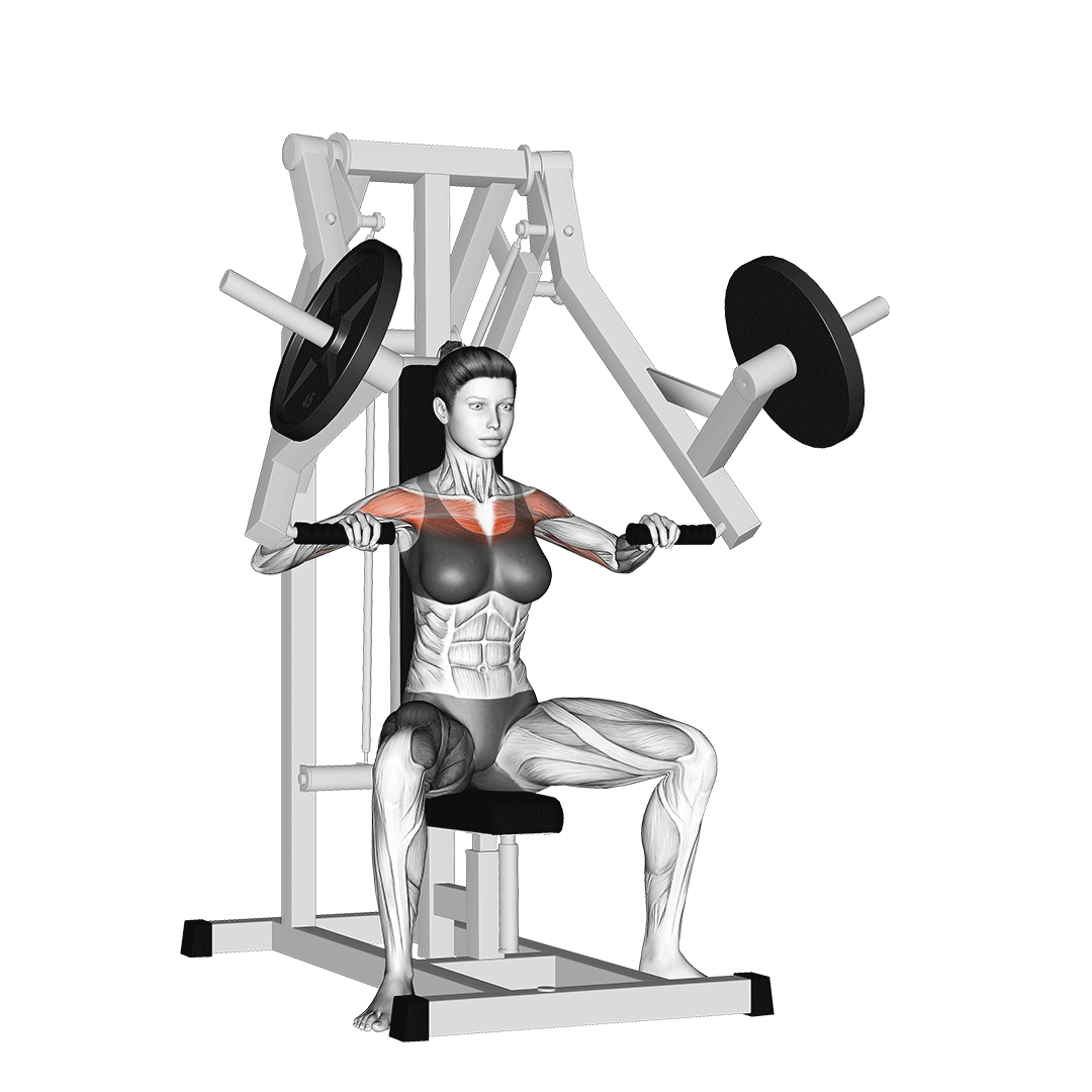 Chest Press Machine Her G n Daha F T Chest Press Machine Her G n Daha F T
