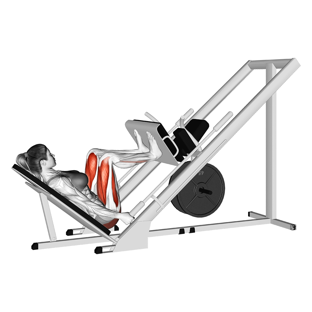 Leg Press Her G n Daha F T 