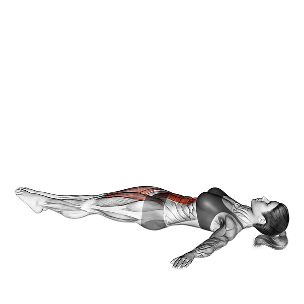 lying leg raise