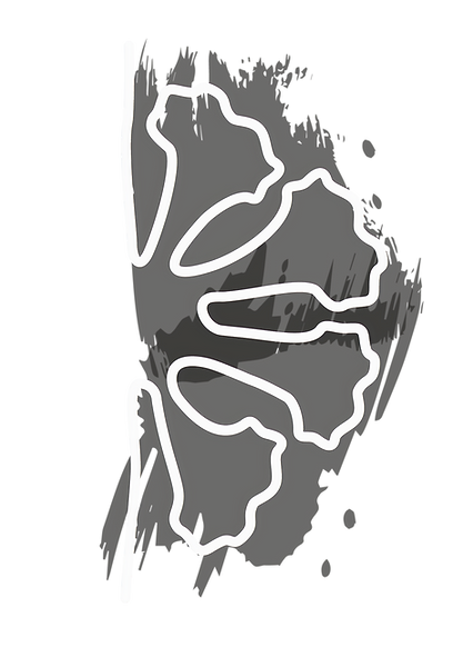 ipe-branco-pincelado_edited_edited.png