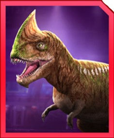 ree