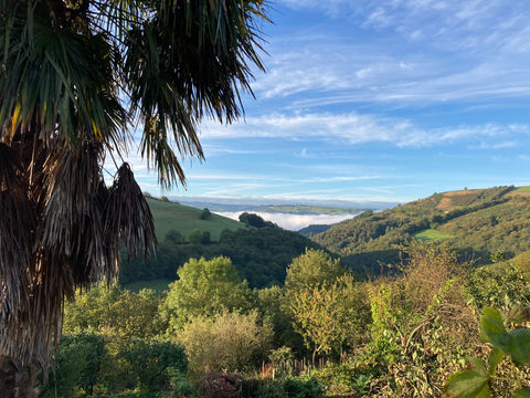 vakantie, camping, vakantiehuisjes, huisjes huren, boshuisje, hutje in het bos, zuid-frankrijk, wandelen, gîtes, rustig, natuur, veilig, leuk voor kinderen, poezen, schapen, natuurlijk zwemwater, vakantie met muziek, brocante, charmecamping, minicamping, natuurcamping, bioboerderij, kinderboerderij, moestuin, hartelijk, vriendelijk, nederlandse eigenaren, persoonlijk