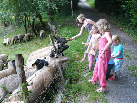 vakantie, camping, vakantiehuisjes, huisjes huren, boshuisje, hutje in het bos, zuid-frankrijk, wandelen, gîtes, rustig, natuur, veilig, leuk voor kinderen, poezen, schapen, natuurlijk zwemwater, vakantie met muziek, brocante, charmecamping, minicamping, natuurcamping, bioboerderij, kinderboerderij, moestuin, hartelijk, vriendelijk, nederlandse eigenaren, persoonlijk