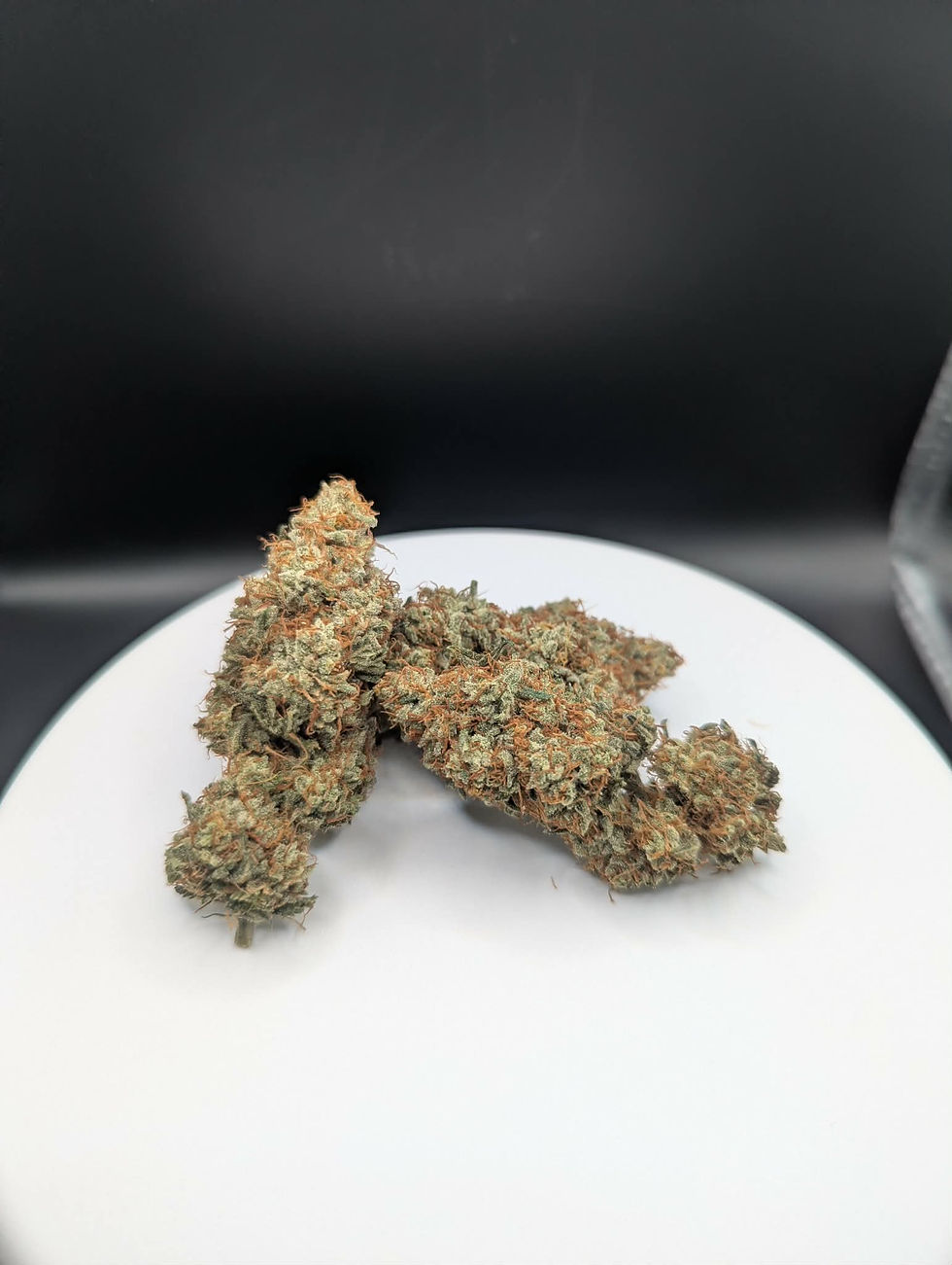 Miniature : Pineapple Frost