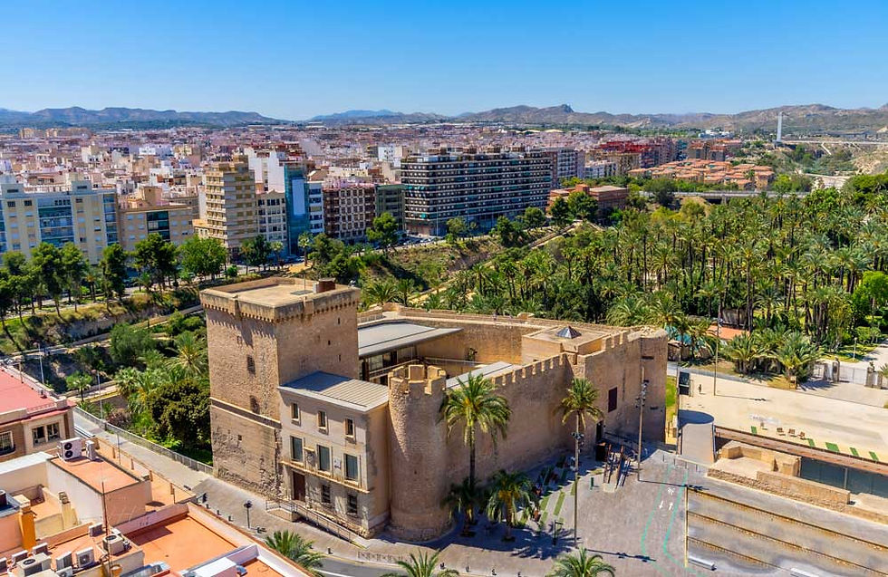Picture of the town of Elche, Spain