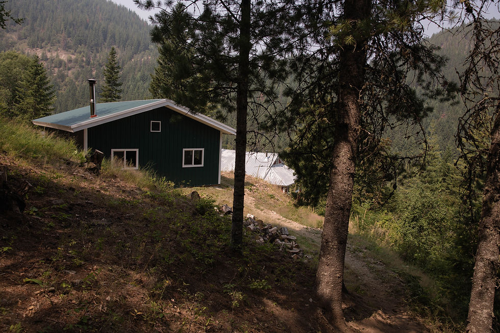 Sams-Cabin-Summer_7495.jpg