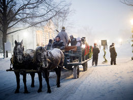 Great Winter Happenings in the City