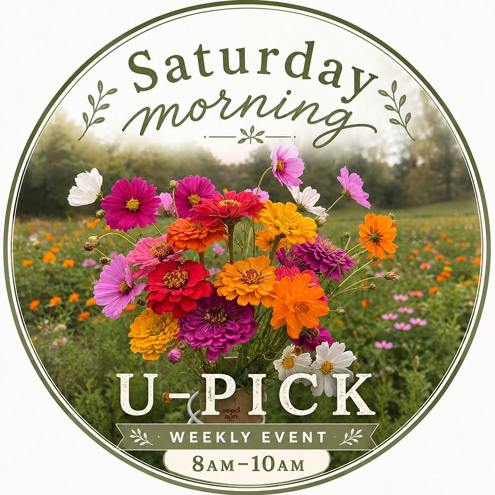 Saturday Morning u-pick