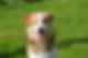 462552734_515760741274189_4754991947171516839_n.jpg