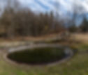 Sodevski pond