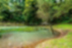Spring of Obrščica