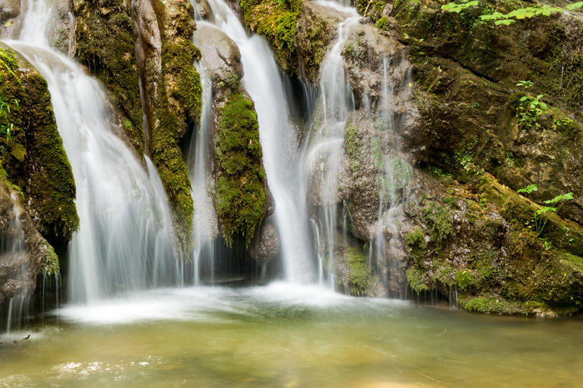 Wild creek