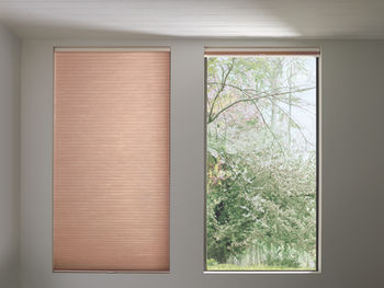 Hunter Douglas Applause Honeycomb shades with LiteRise controls