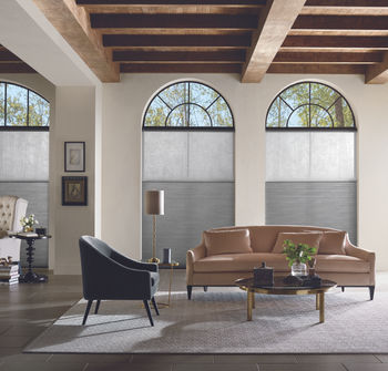 2019_APP_PV_Duolite_Crystalline_Vintage_Living Room.jpeg