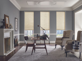 Hunter Douglas Applause Honeycomb shades with EasyRise controls for office