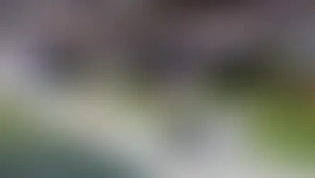 Giants/Bears Game Review