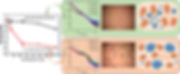 2019-ACSAMI.jpeg