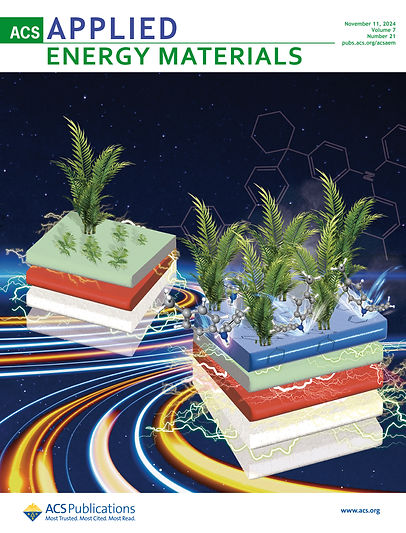 ACSAEM_supplementary cover.jpg