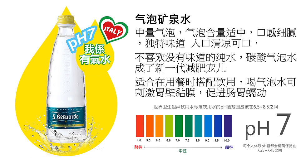 縮圖：意大利 天然 超微氣泡 礦泉水 500毫升 x 24瓶 (直身瓶)