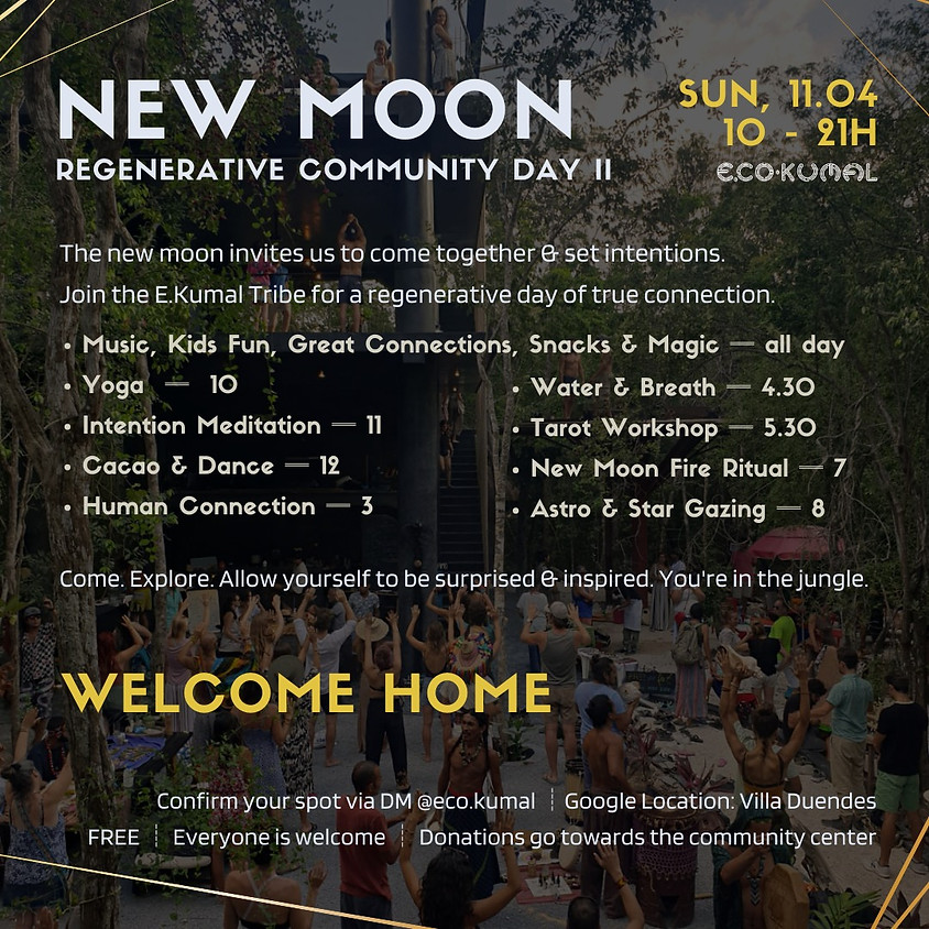 New Moon Regeneration Day II