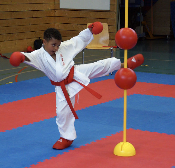 Karate Fällanden: Spass für Jung und Alt.