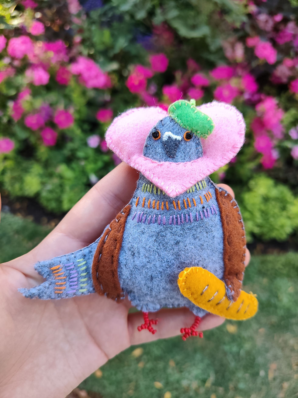 Pedro, le pigeon français