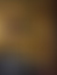 Warm ambient lighting within kissaten-inspired dining environment