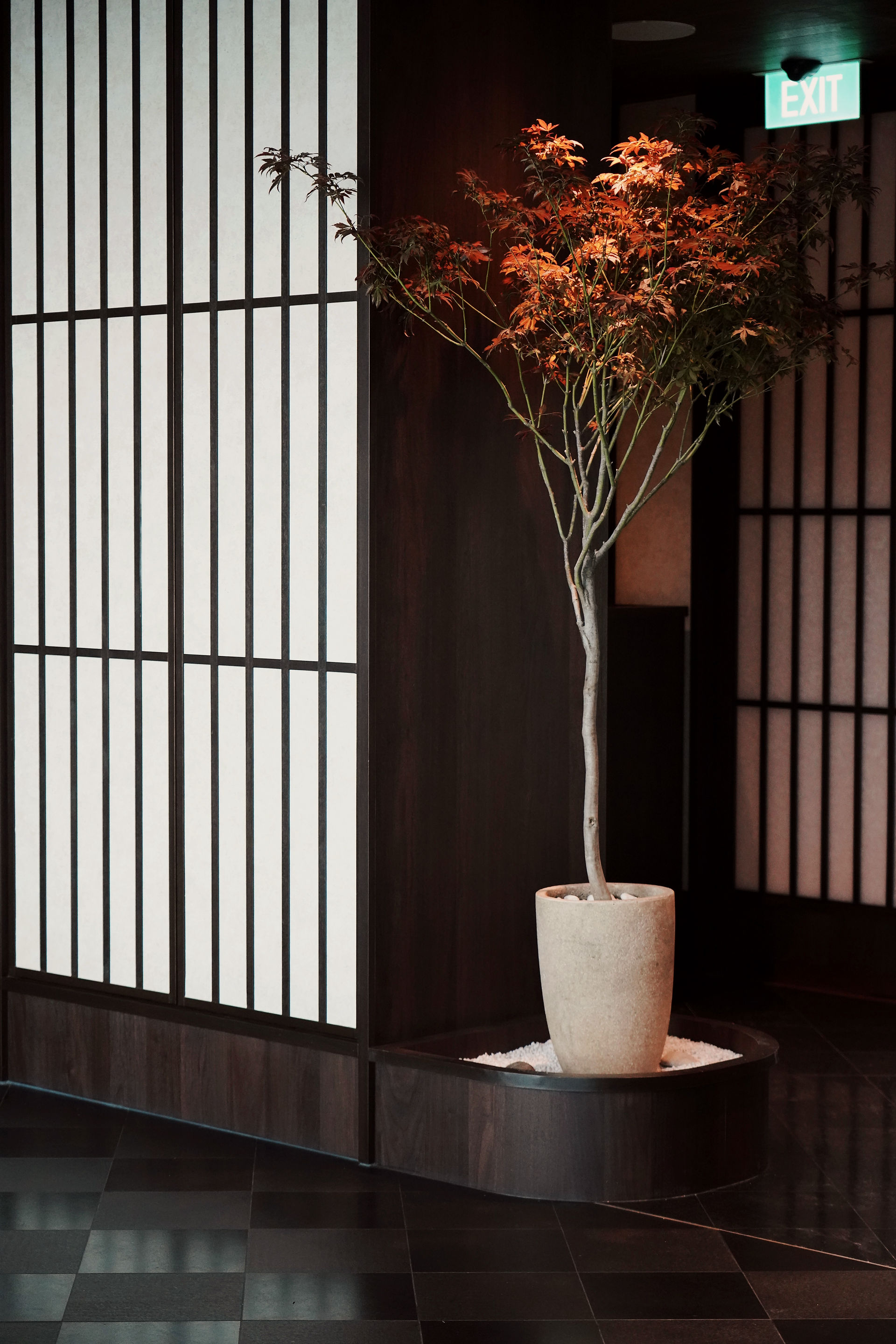 Intimate Japenese fine dining atmosphere at Zeniya Singapore