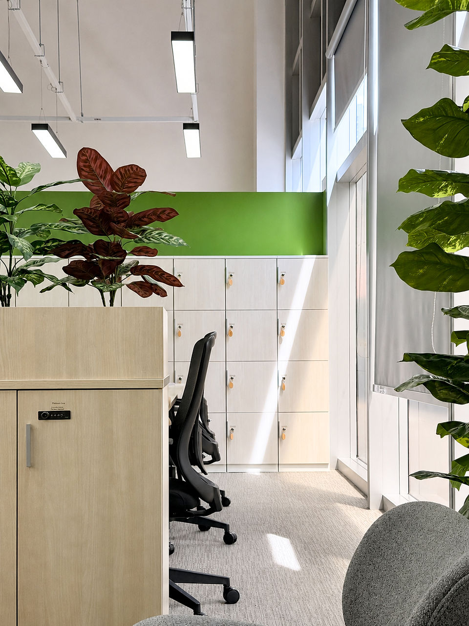 Welcoming environment reflecting openness, care and contemporary workplace design