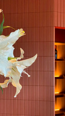 Dining environment framed by panoramic views of Keppel Bay Marina
