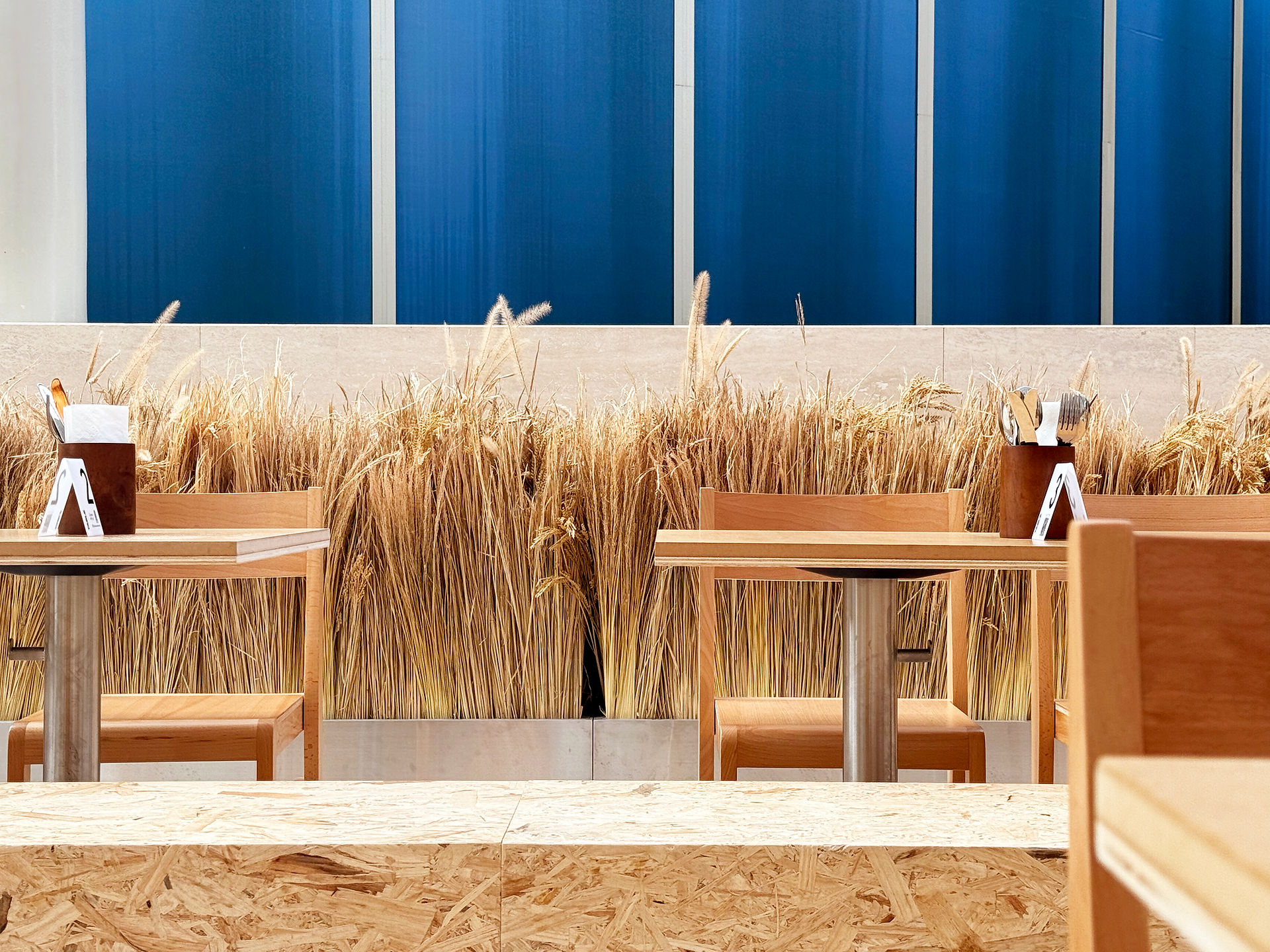 Contemporary cafe atmosphere shaped through openness and social interaction
