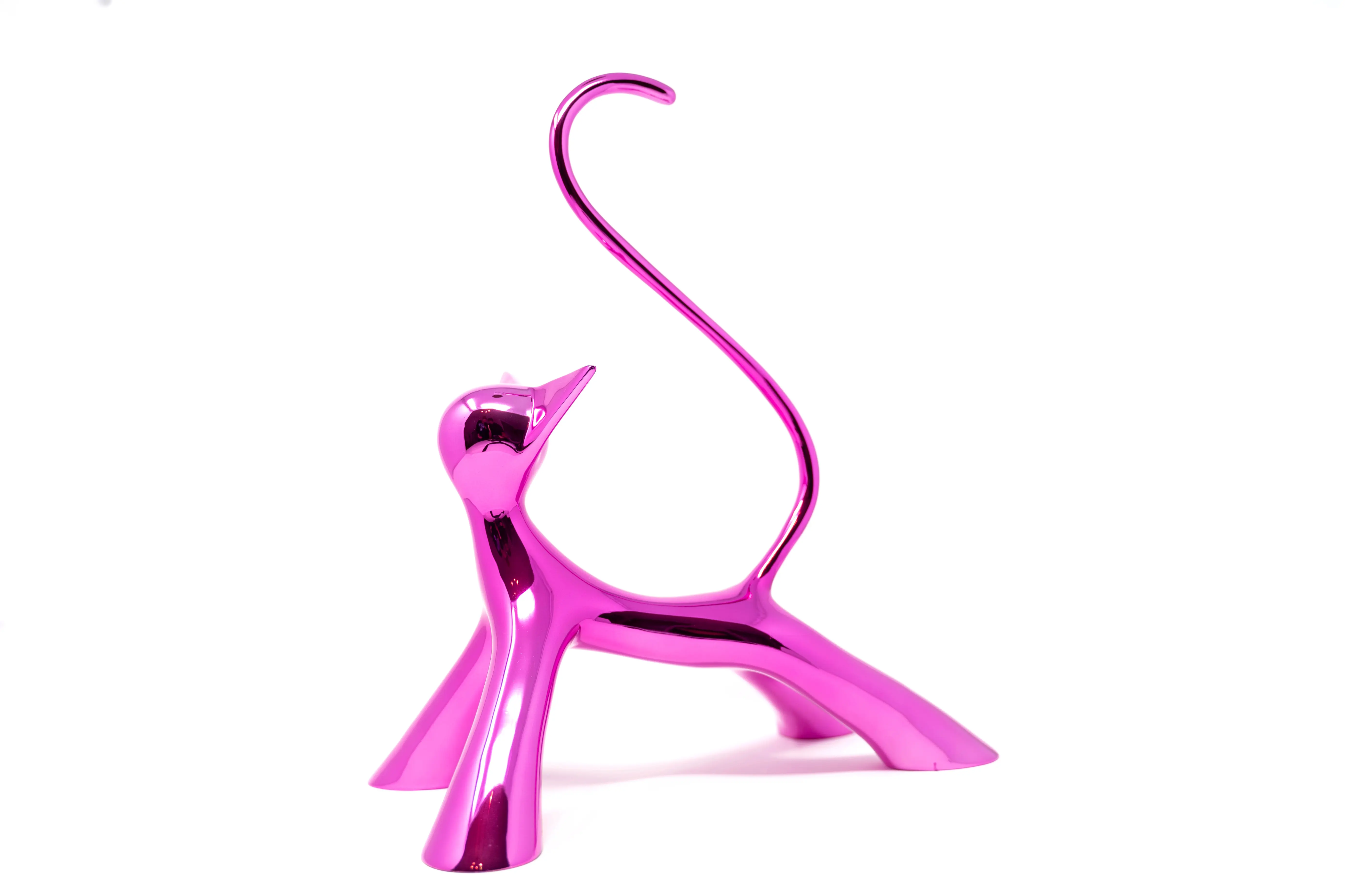 chat-darret-scaled.jpg.webp