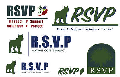 Screen Shot 2021-11-11 at 12.56.49 PM.png