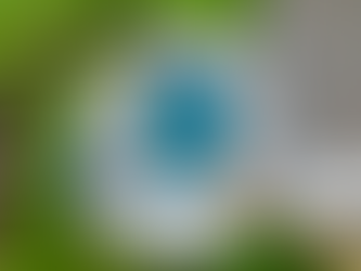 The Benefits of Building a Pool During the Off-Season in Tennessee