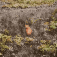 367401415_280334811368386_8994993751327713400_n.png