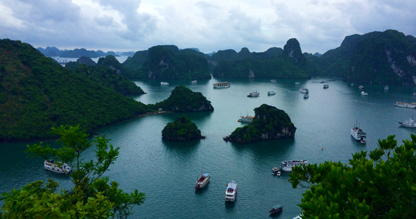 Halong Bay, Halong, Cruises, Indochina Sails, Vietnam