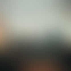 City skyline at dusk with modern skyscrapers. Cars on a bridge, overcast sky adding a calm mood. Brown foreground, hinting at fall.