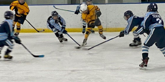Campbell in Action - Goldrush Went 4-0-1